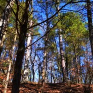 Why Fear is Afraid of You & Why We Need You