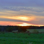 The Risk of Being Undone