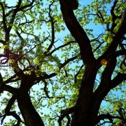 Living the Small Creases of Your Life