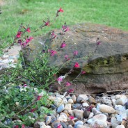 My Ebenezer in Writing