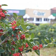 The Catapult of Writing (Or Why You Should Write Anything At All)