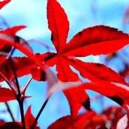 Unearthing Your Gifts & a Life of Risk with Your Art