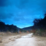 Owning Your Space (& The Art Within You)