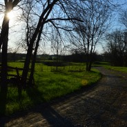 On Courage, Straight Talk, & Making it Home