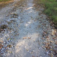 Change is Inevitable but the Future is Before You (Writing, Courage, & the Magic of Midlife)